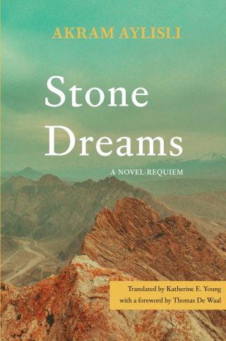 Cover image: Stone Dreams 9781644699133