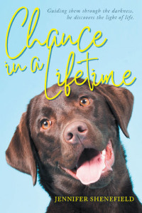 Imagen de portada: Chance in a Lifetime 9781644714645