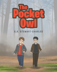 表紙画像: The Pocket Owl 9781644714799