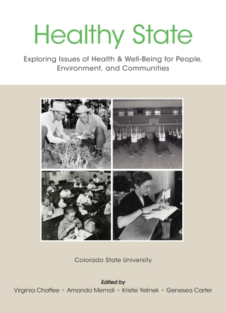 Cover image: Healthy State: Exploring Issues of Health & Well-Being for People, Environment, and Communities 1st edition 9781644851937