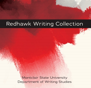 Cover image: Redhawk Writing Collection 1st edition 9781644851289