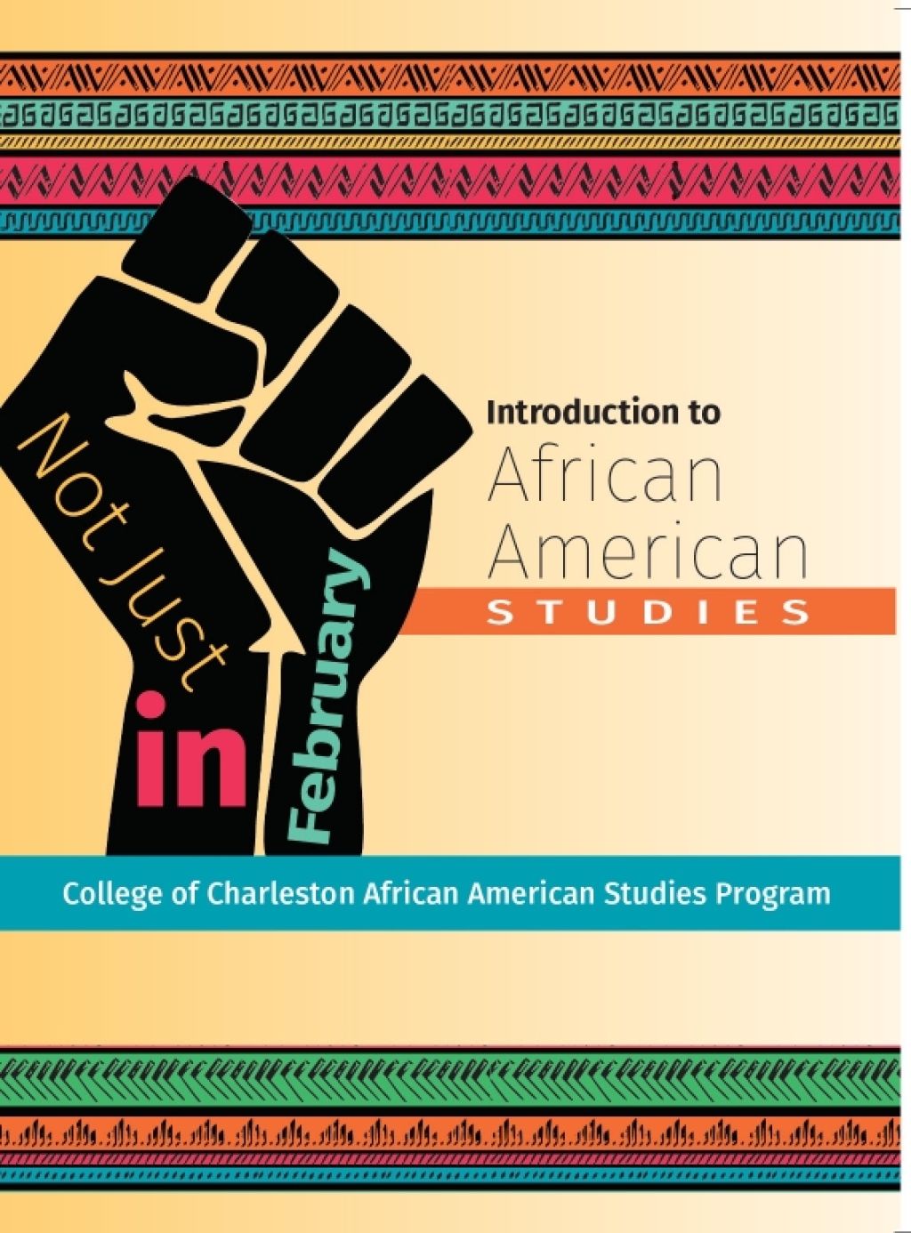 Not Just in February: An Introduction to African American Studies 1st Edition