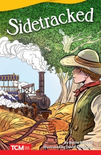 Cover image: Sidetracked ebook 1st edition 9781644913727