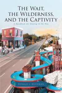 Imagen de portada: The Wait, the Wilderness, and the Captivity 9781644924945