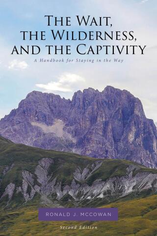 Cover image: The Wait, the Wilderness, and the Captivity 9781644924945