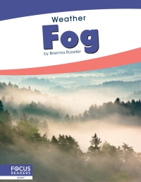 Imagen de portada: Fog 1st edition 9781641857895
