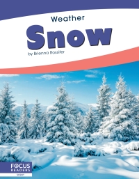 Imagen de portada: Snow 1st edition 9781641857918