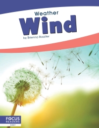 Imagen de portada: Wind 1st edition 9781641857949
