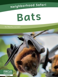 Imagen de portada: Bats 1st edition 9781644933503