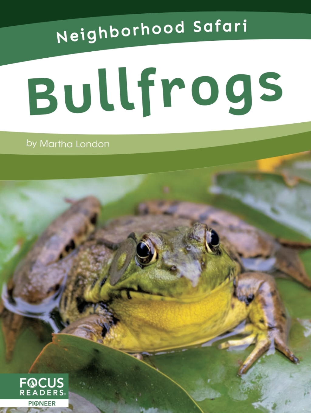 Bullfrogs 1st Edition
