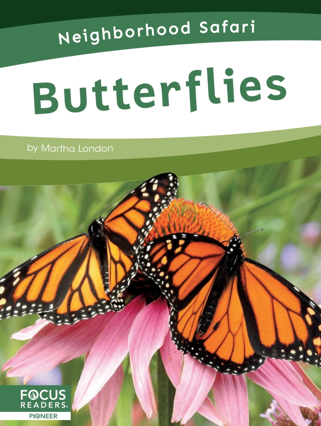 Butterflies 1st Edition