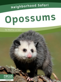Imagen de portada: Opossums 1st edition 9781644933534