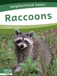 Titelbild: Raccoons 1st edition 9781644933541
