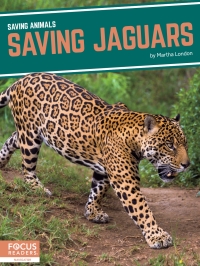 Imagen de portada: Saving Jaguars 1st edition 9781644933879