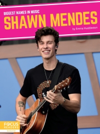 Cover image: Shawn Mendes 1st edition 9781644936375