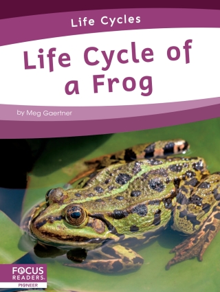 Cover image: Life Cycle of a Frog 1st edition 9781644938287