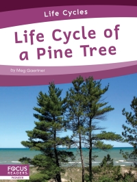 Titelbild: Life Cycle of a Pine Tree 1st edition 9781644938300