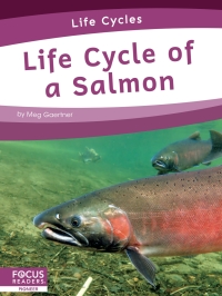 Cover image: Life Cycle of a Salmon 1st edition 9781644938324