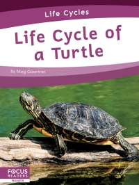 Titelbild: Life Cycle of a Turtle 1st edition 9781644938331