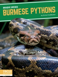 Titelbild: Burmese Pythons 1st edition 9781644938546