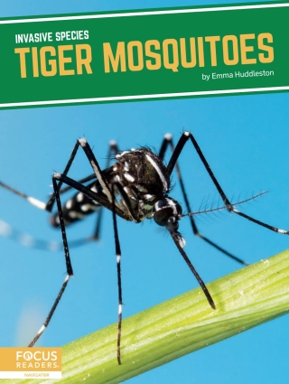 Imagen de portada: Tiger Mosquitoes 1st edition 9781644938591