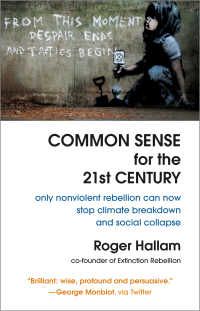 Cover image: Common Sense for the 21st Century 9781645020004