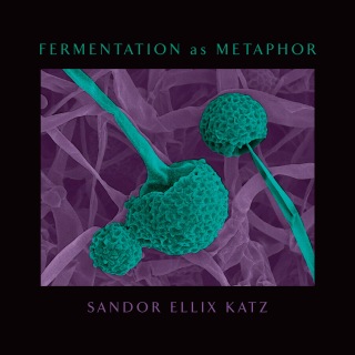 Cover image: Fermentation as Metaphor 9781645020219