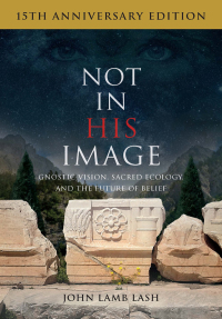 صورة الغلاف: Not in His Image (15th Anniversary Edition) 9781645021360