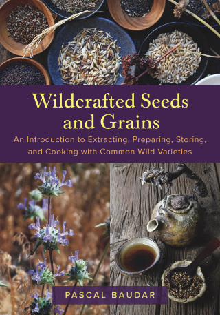 Cover image: Wildcrafted Seeds and Grains 9781645022725