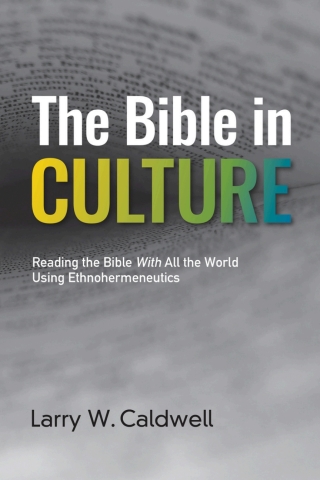 Cover image: The Bible in Culture 9781645086581