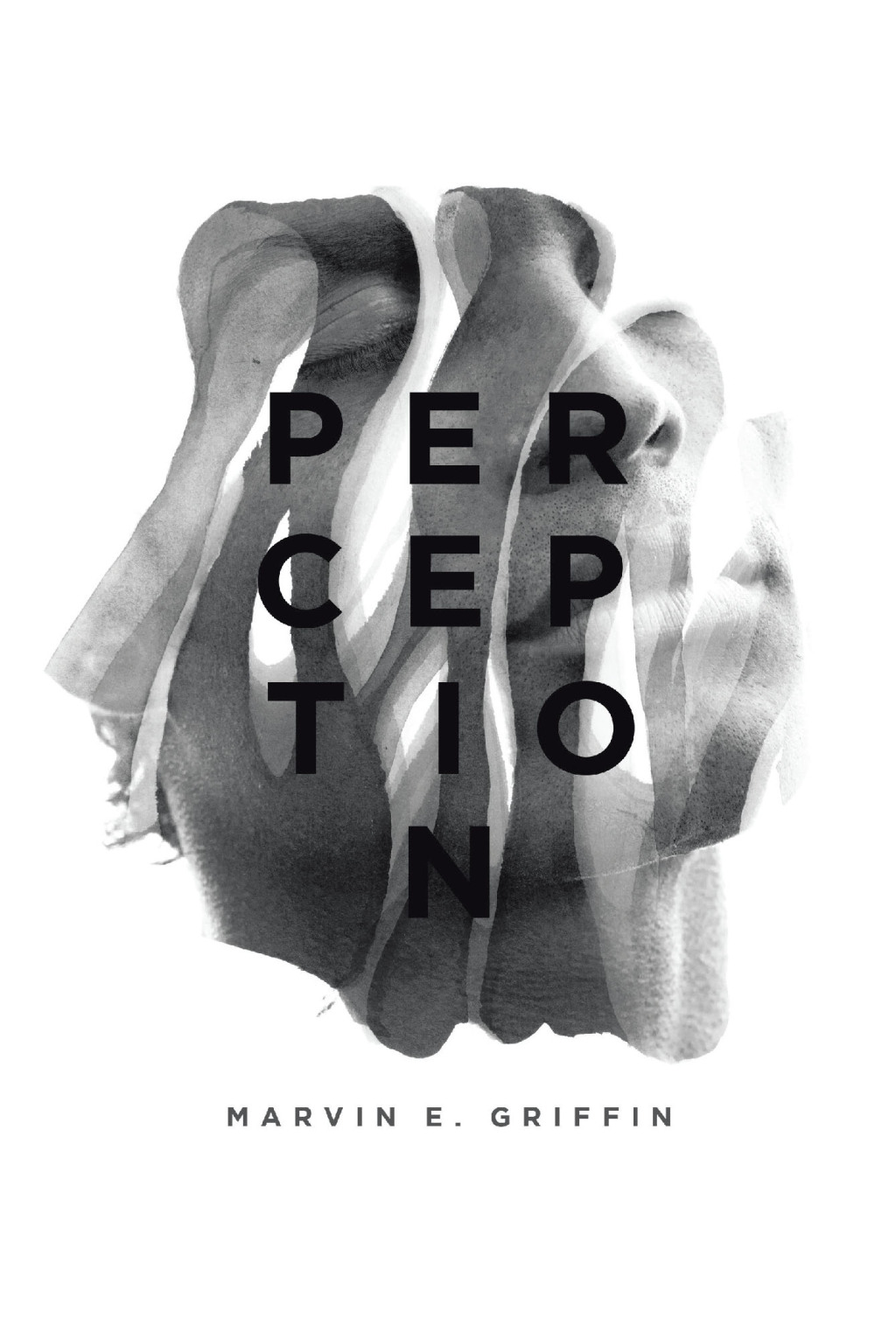 Perception (eBook)