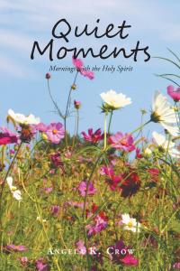 Cover image: Quiet Moments 9781645153450