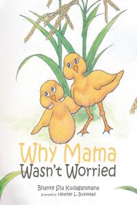 Omslagafbeelding: Why Mama Wasn't Worried 9781645316008