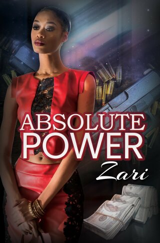 Imagen de portada: Absolute Power 9781645563464