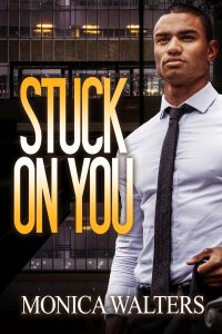 Cover image: Stuck On You 9781645564454