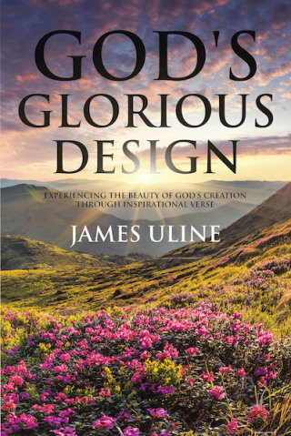 表紙画像: God's Glorious Design 9781645591320