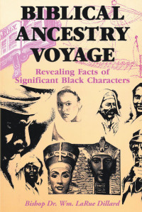 Cover image: Biblical Ancestry Voyage 9781645594321