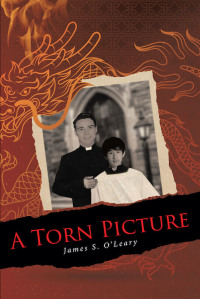 Cover image: A Torn Picture 9781645594352