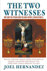 Omslagafbeelding: The Two Witnesses are God the Father and The Holy Spirit - Revelation 11 9781645596011