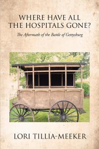 Cover image: Where Have All the Hospitals Gone? 9781645843153