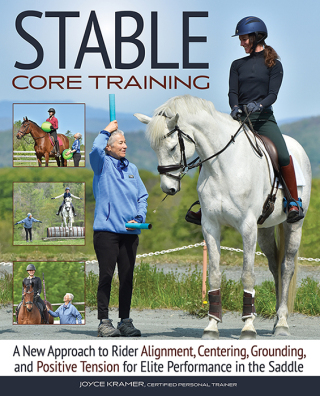 Cover image: Stable Core Training 9781646012008
