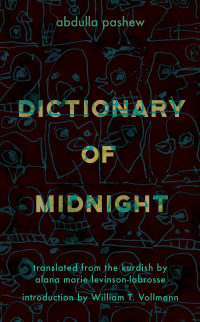 صورة الغلاف: Dictionary of Midnight 9781944700805