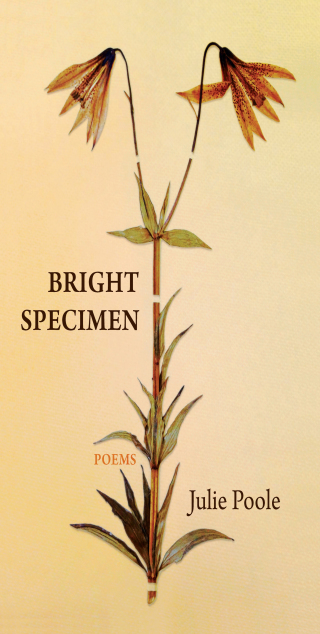 Cover image: Bright Specimen 9781646050574