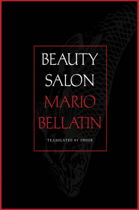 Cover image: Beauty Salon 9781646050734