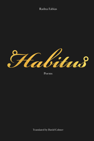 Cover image: Habitus 9781646050987