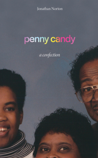 表紙画像: penny candy 9781646051052