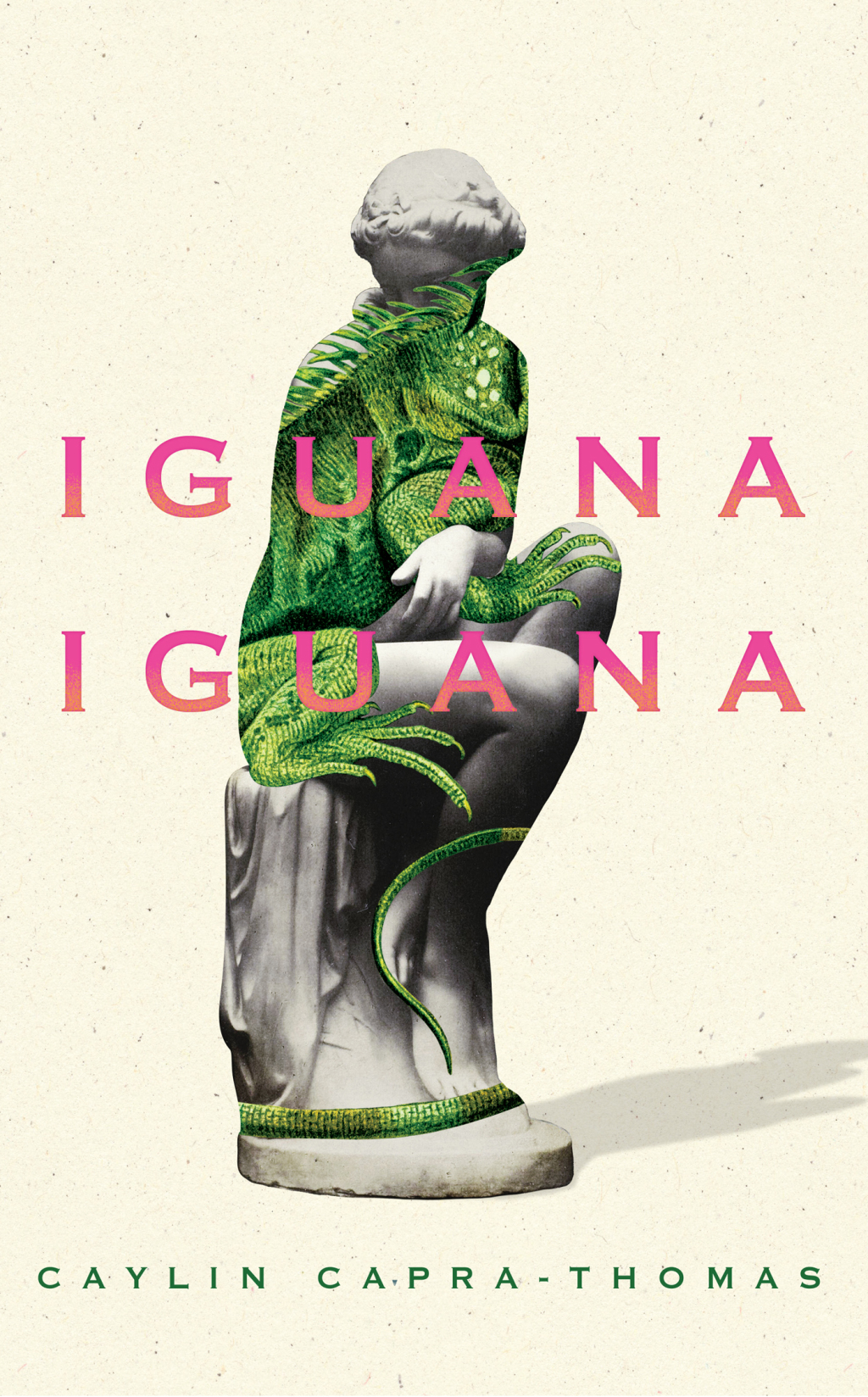 Iguana Iguana (eBook)