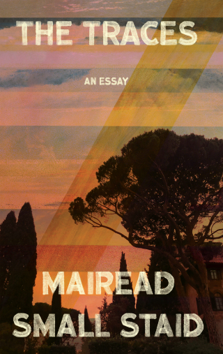 Cover image: The Traces 9781646052004