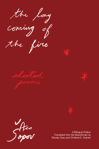 表紙画像: The Long Coming of the Fire 9781646053032