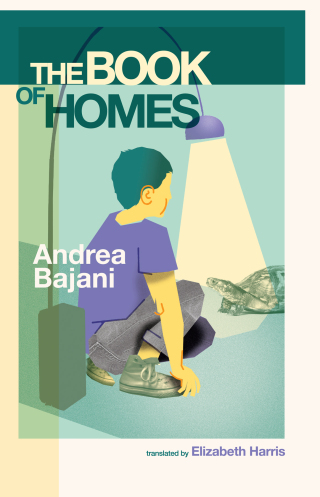 Imagen de portada: The Book of Homes 9781646053810